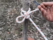 各种绳结技巧方法和编织