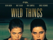 [高分][1998][玩尽杀绝.Wild Things][Bluray.1080P][未分级版][百度网盘][无台标][无水印]